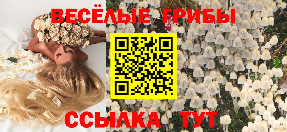 Галлюциногенные грибы мухоморы Грозный