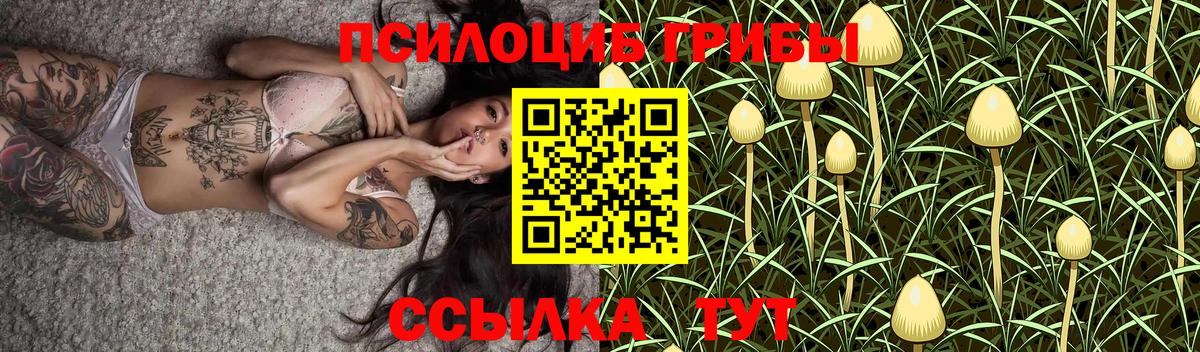 где найти   Галлюциногенные грибы мицелий  Вход с VPN  Грозный 